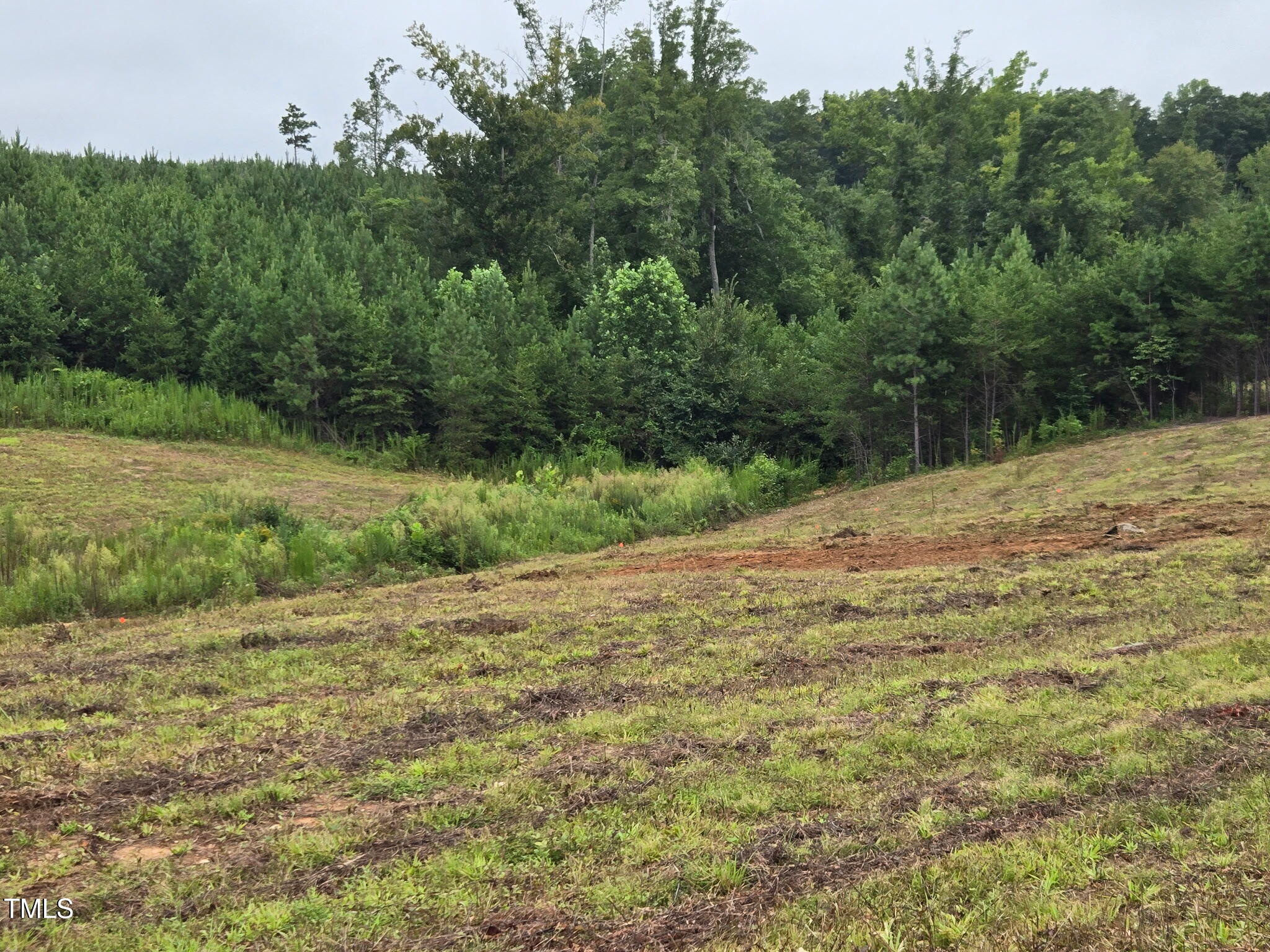 672 Paschall Road Yanceyville, NC 27379 - Photo 6 of 7 4761568287640930196