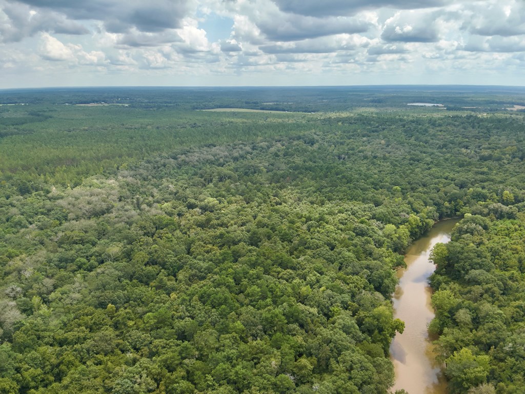 202-acres Columbus Holley Road Samson, AL 36477 - Photo 25 of 50
