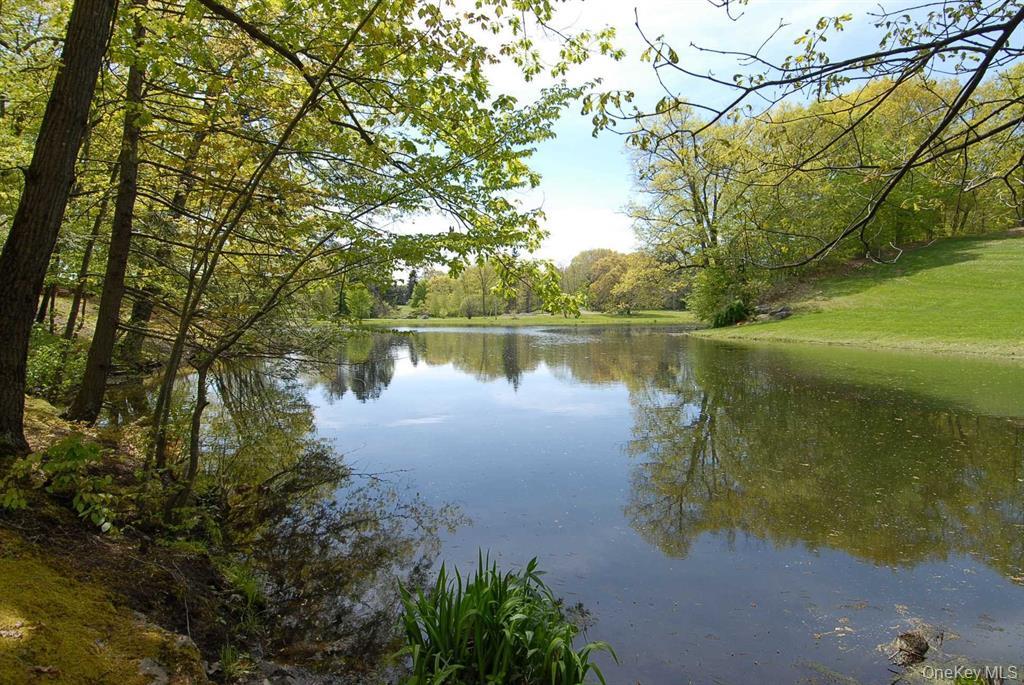 18 Plattekill Road Marlboro, NY 12542 - Photo 7 of 7 View of pond