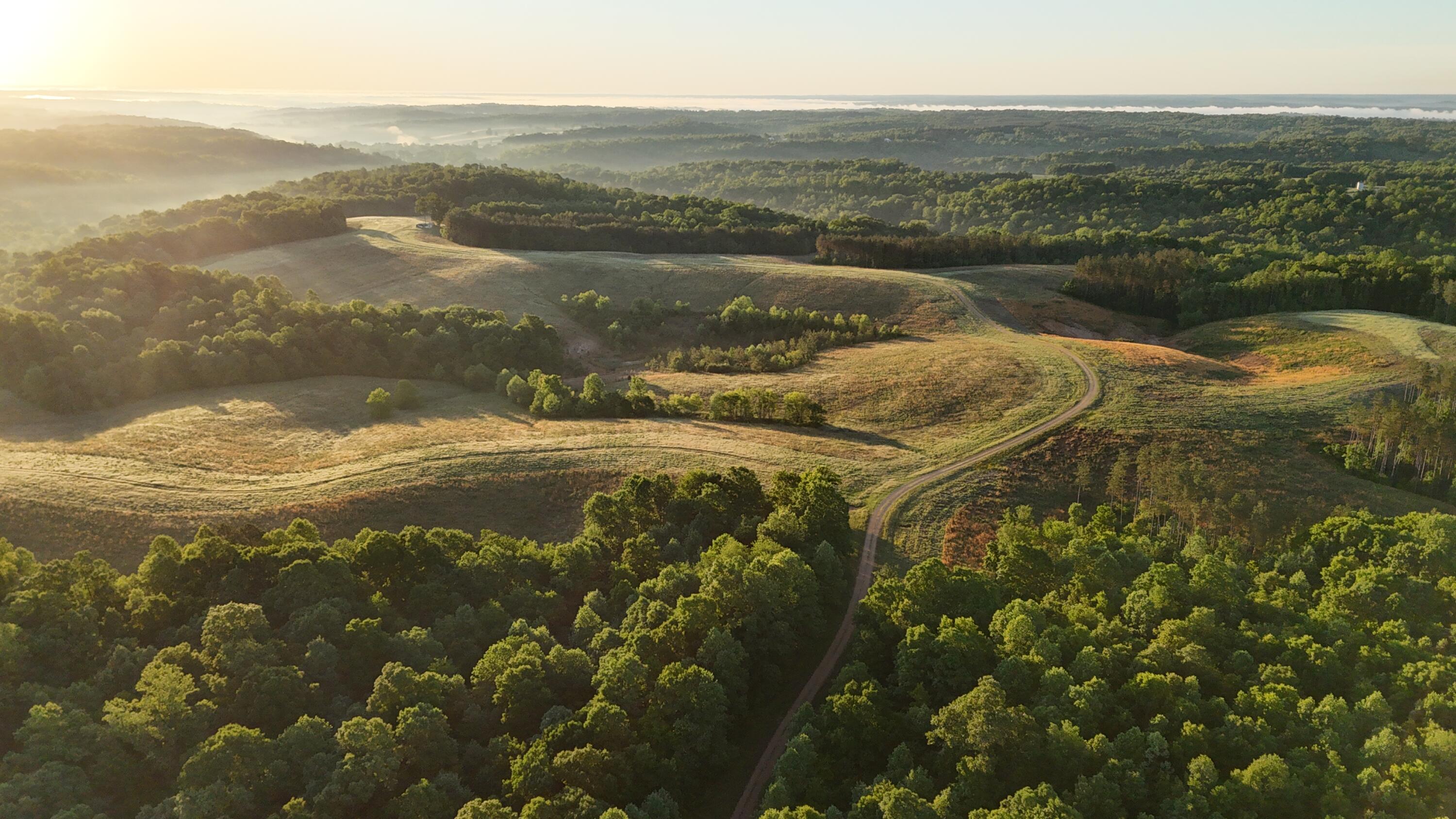 7 7 Mile Ridge Road Indian Mound, TN 37079 - Photo 7 of 24 DJI_20260508082221_0402_D