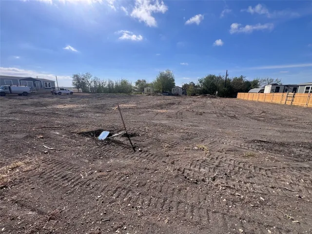 a view of a dry yard with trees