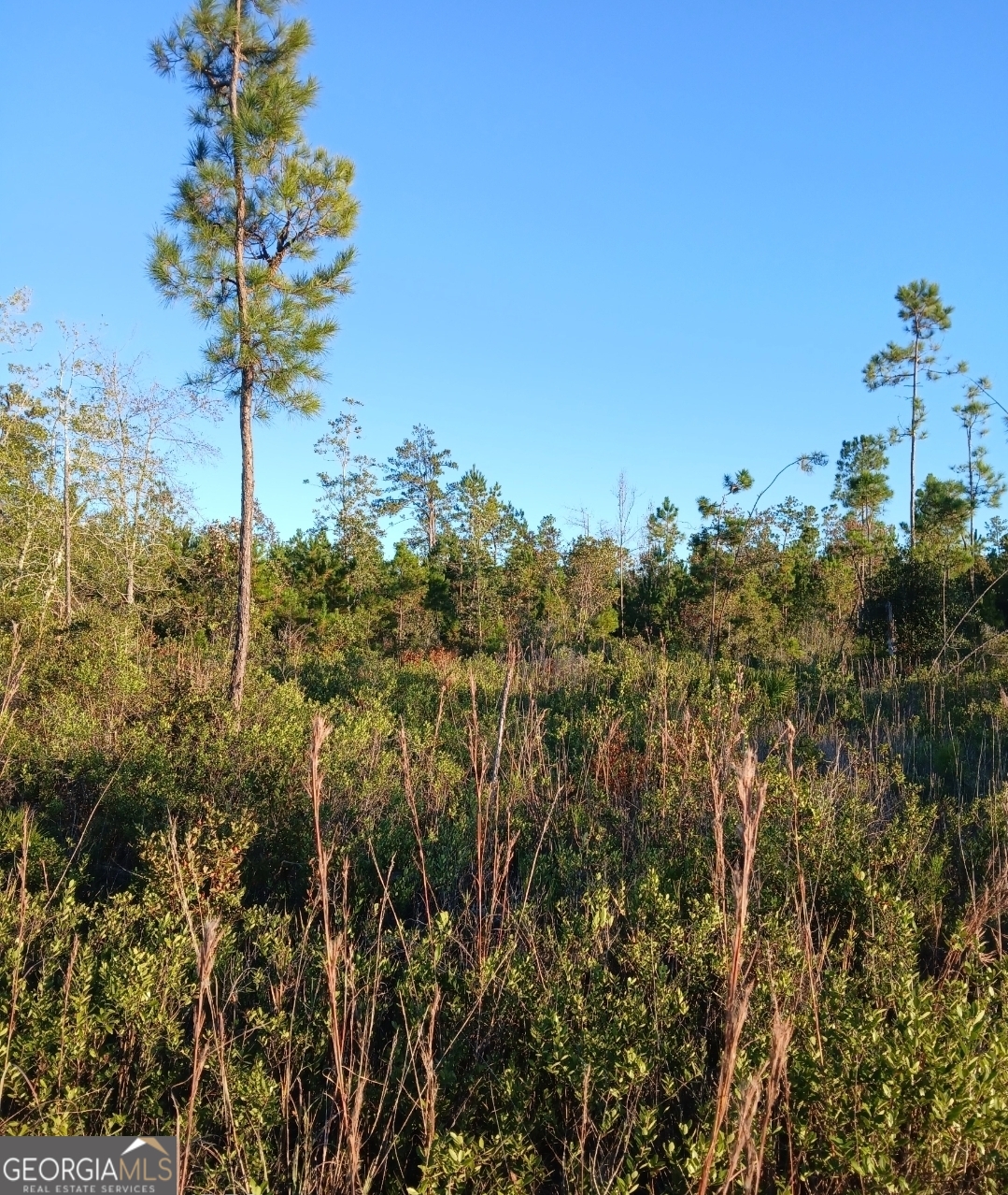 395 Mill Branch Road Folkston, GA 31537 - Photo 11 of 11