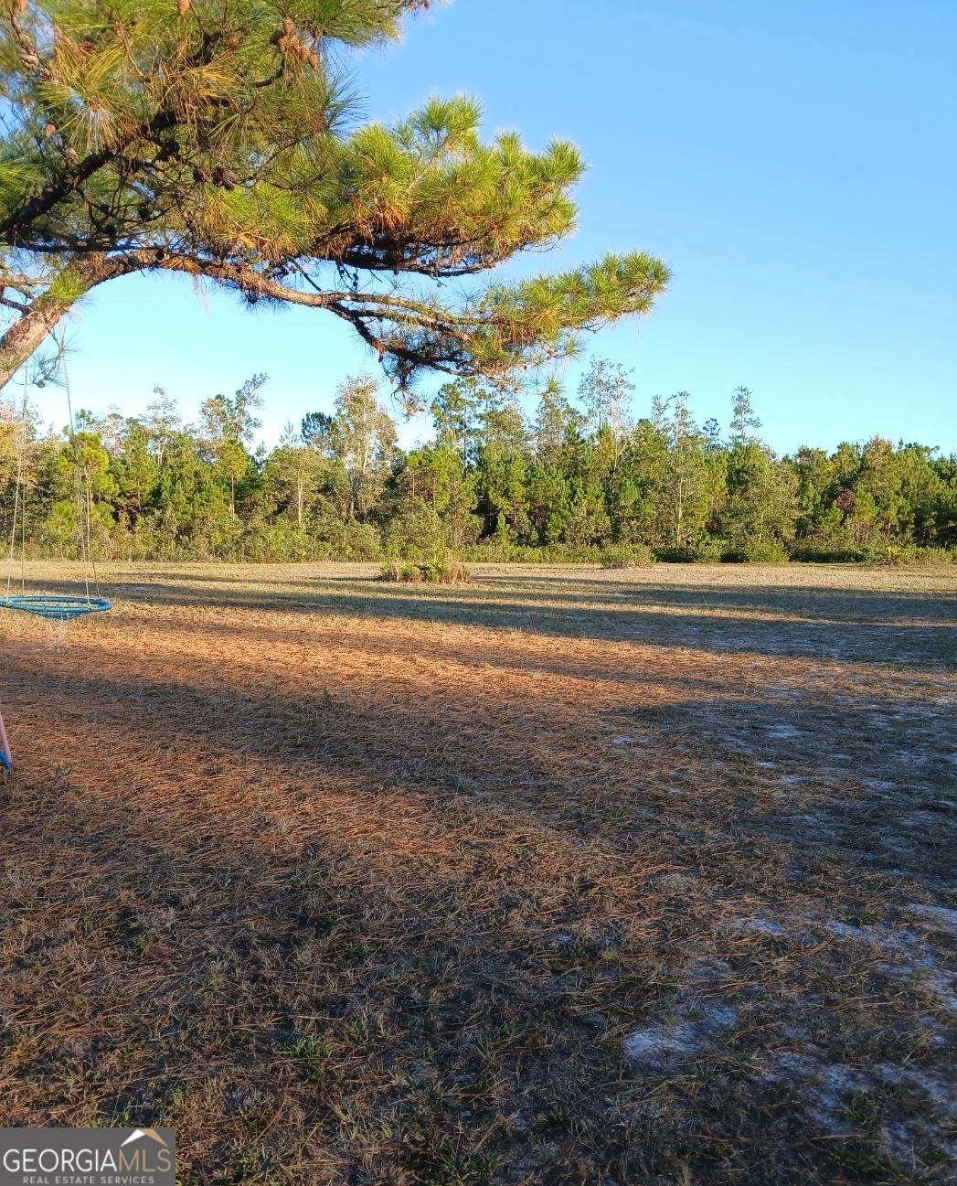 395 Mill Branch Road Folkston, GA 31537 - Photo 2 of 11