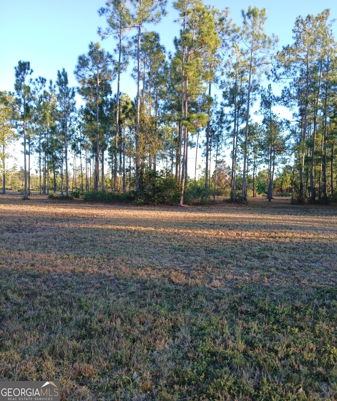 395 Mill Branch Road Folkston, GA 31537 - Photo 4 of 11