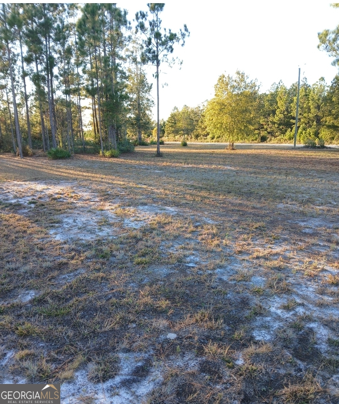 395 Mill Branch Road Folkston, GA 31537 - Photo 5 of 11