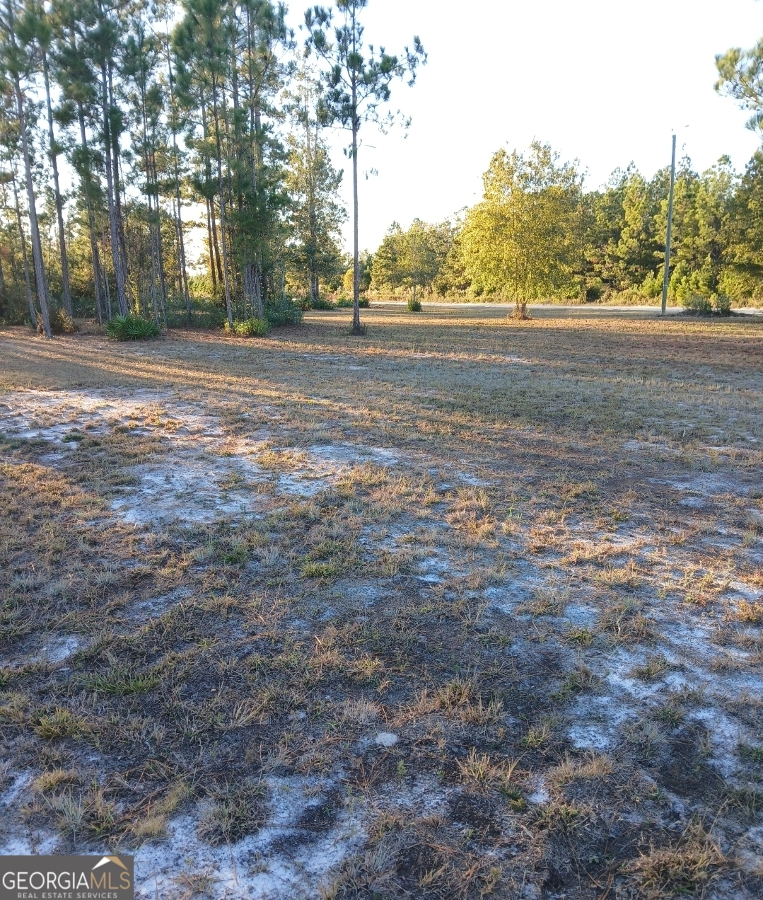 395 Mill Branch Road Folkston, GA 31537 - Photo 7 of 11