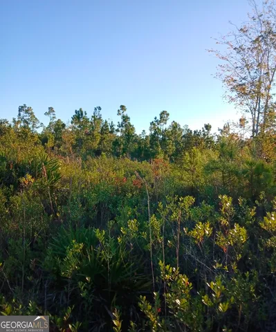 $189,499 | 395 Mill Branch Road, Folkston, GA 31537