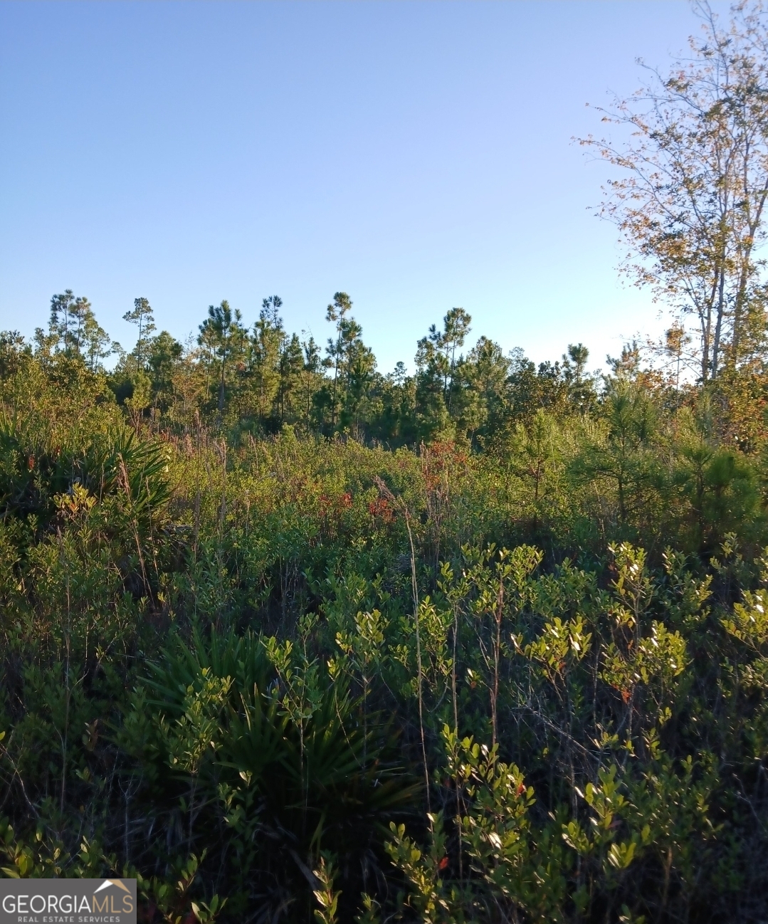 395 Mill Branch Road Folkston, GA 31537 - Photo 10 of 11