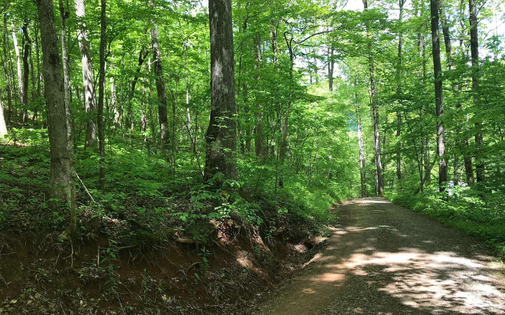 Lot14 Northside Mountain Road Suches, GA 30572 - Photo 1 of 1 Main View