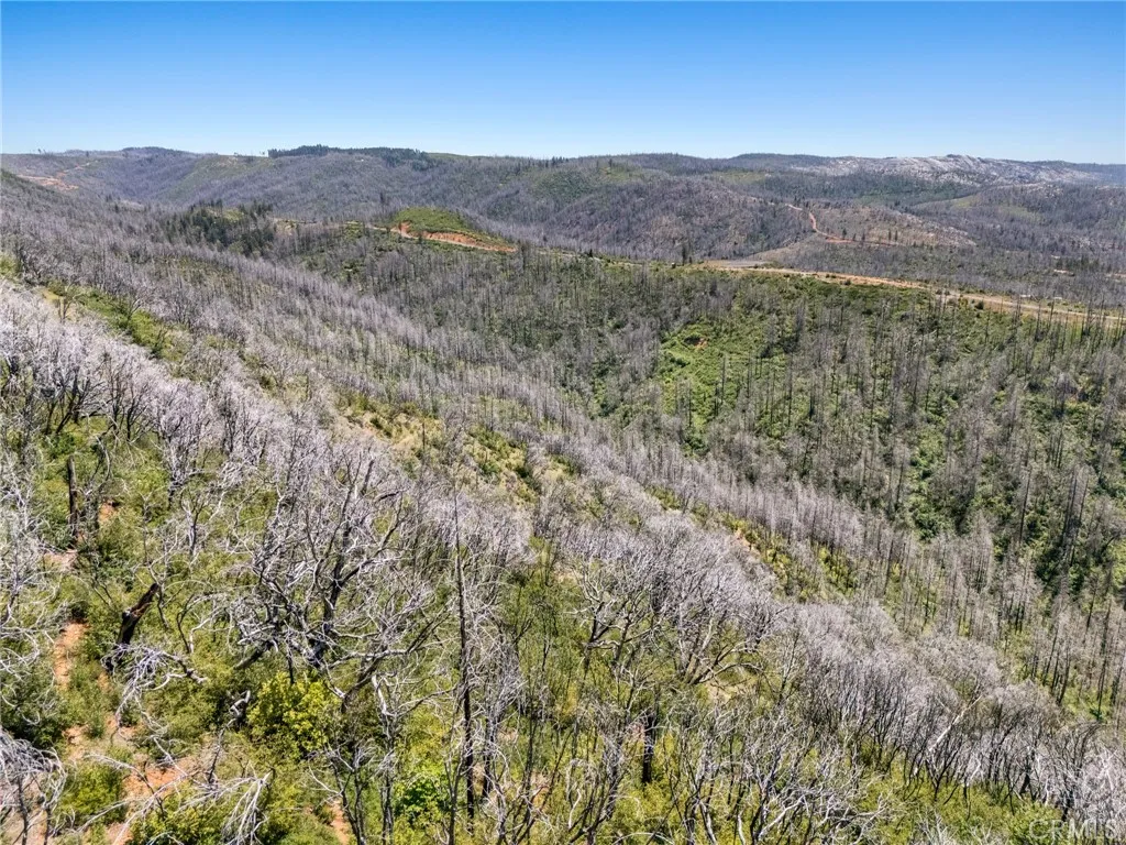 0 Stephens Ridge Road Berry Creek, CA 95916 - Photo 8 of 8