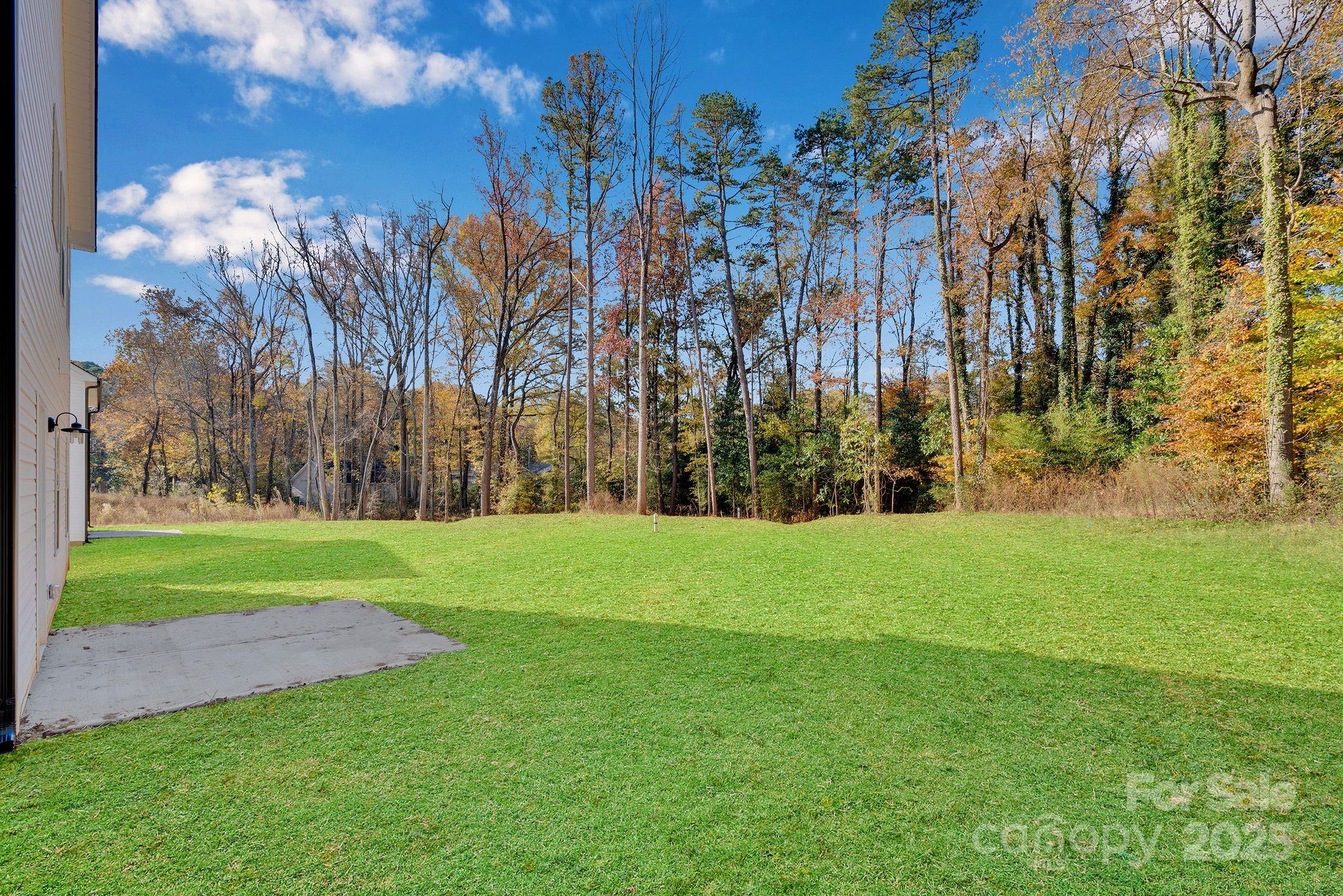 3549 Lake Road Charlotte, NC 28269 - Photo 31 of 34 a view of a field with a tree in the background