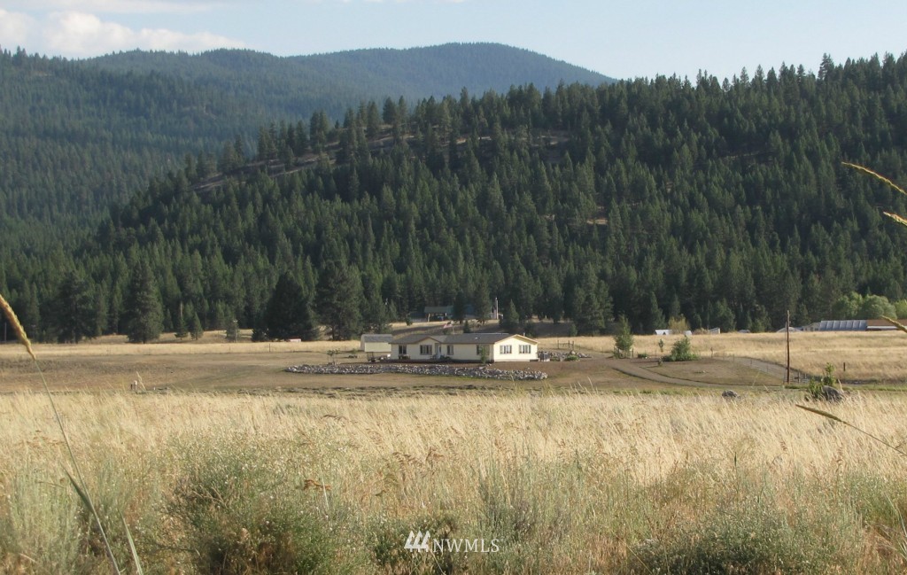 29 Duck Flat Road Tonasket, WA 98855 - Photo 1 of 18 a view of swimming pool with a yard