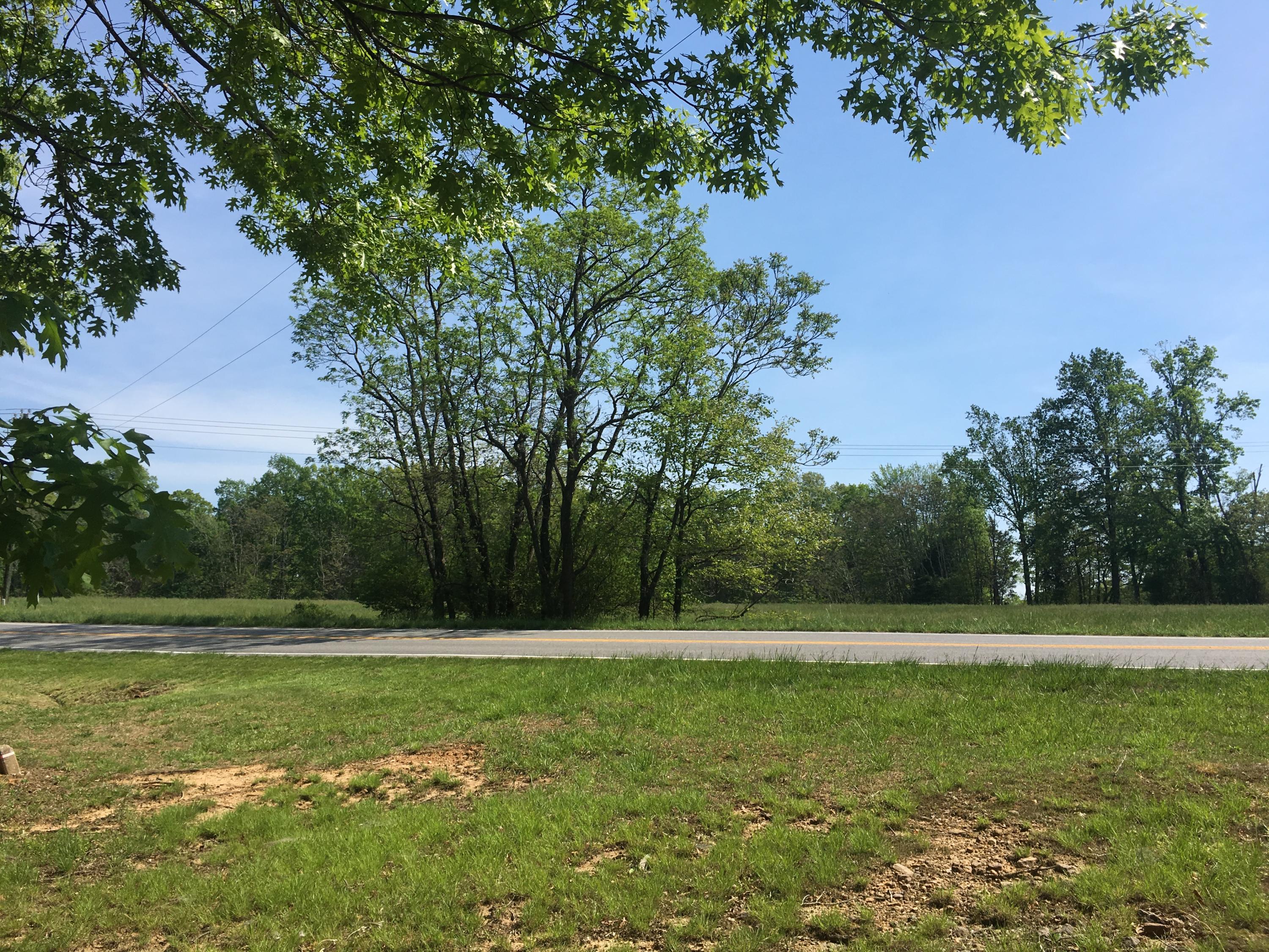 Lot 2 Shingle Block Road Bedford, VA 24523 - Photo 5 of 10 IMG_4924