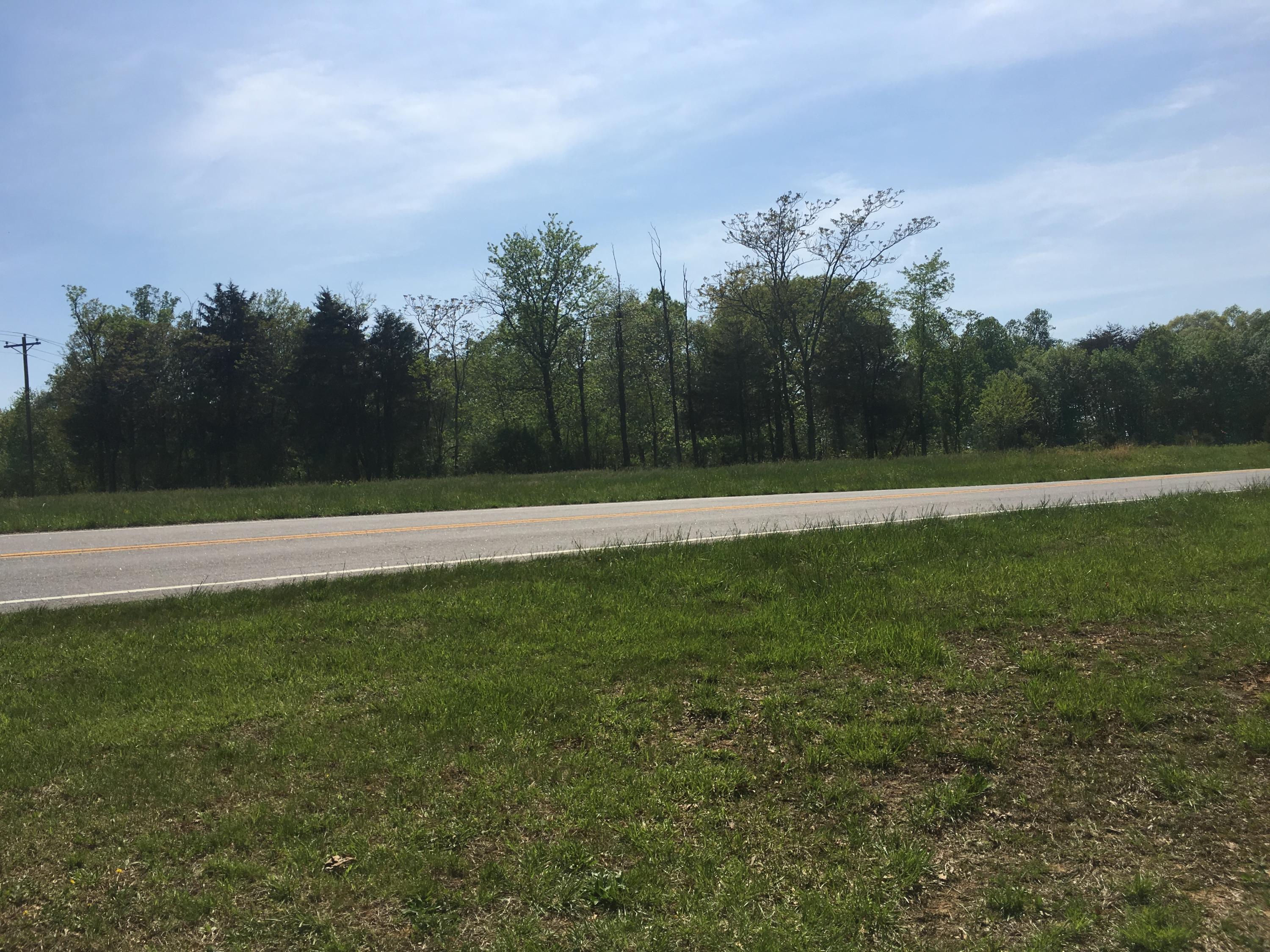 Lot 2 Shingle Block Road Bedford, VA 24523 - Photo 6 of 10 IMG_4926