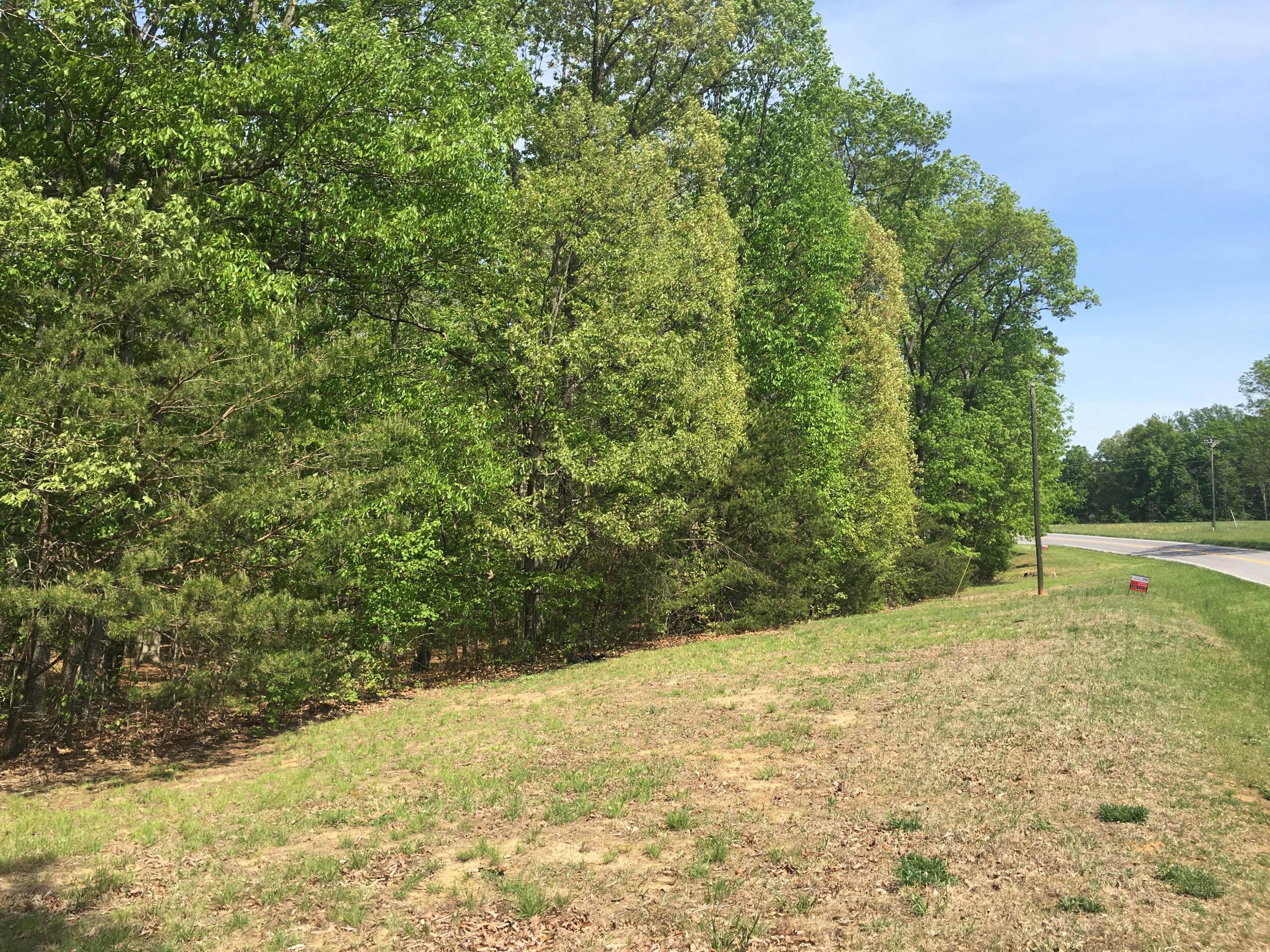 Lot 2 Shingle Block Road Bedford, VA 24523 - Photo 8 of 10 IMG_4915