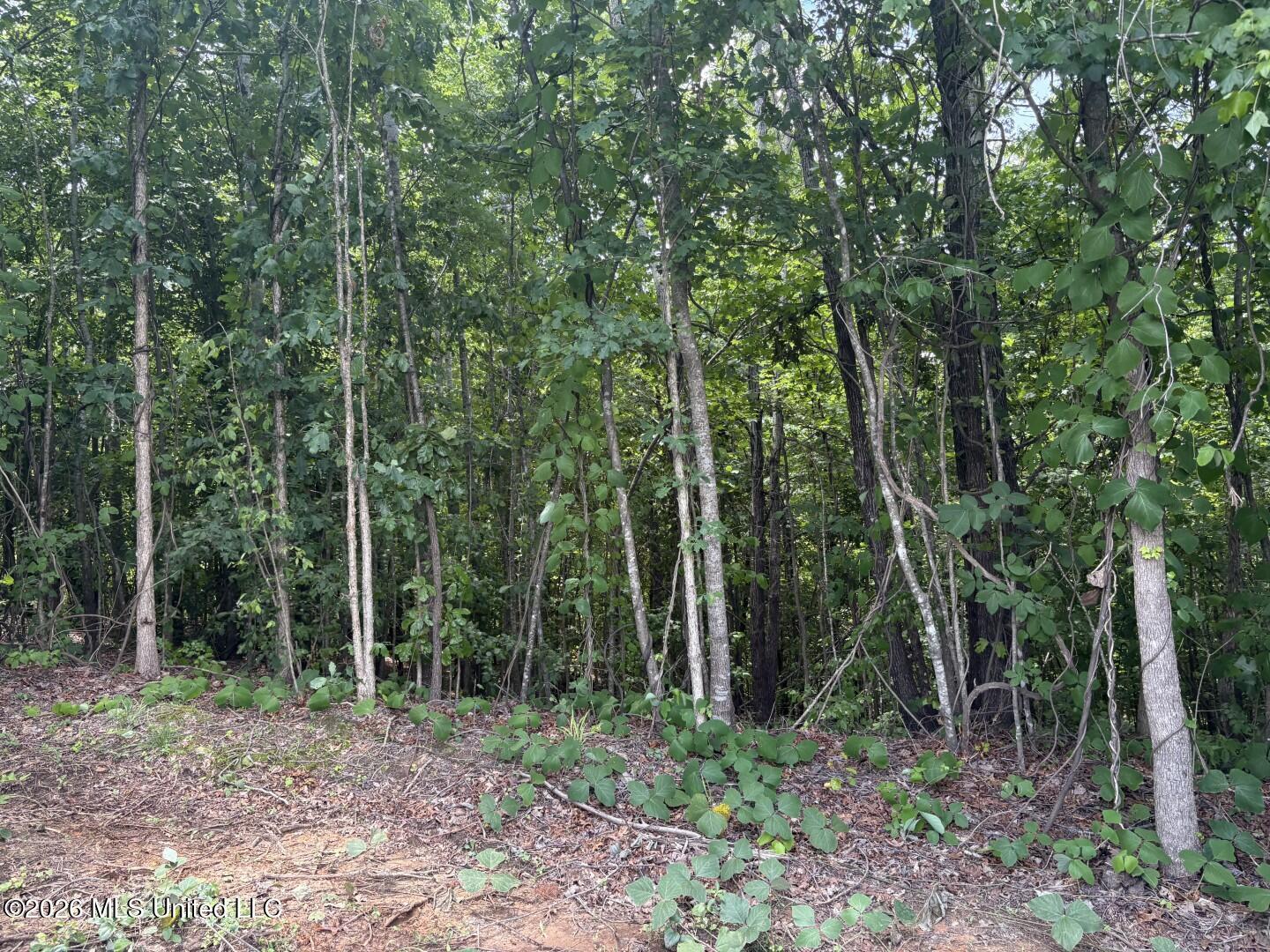 180 County Road New Albany, MS 38652 - Photo 28 of 61 Photo Jun 02 2026, 12 44 24 PM (Large)