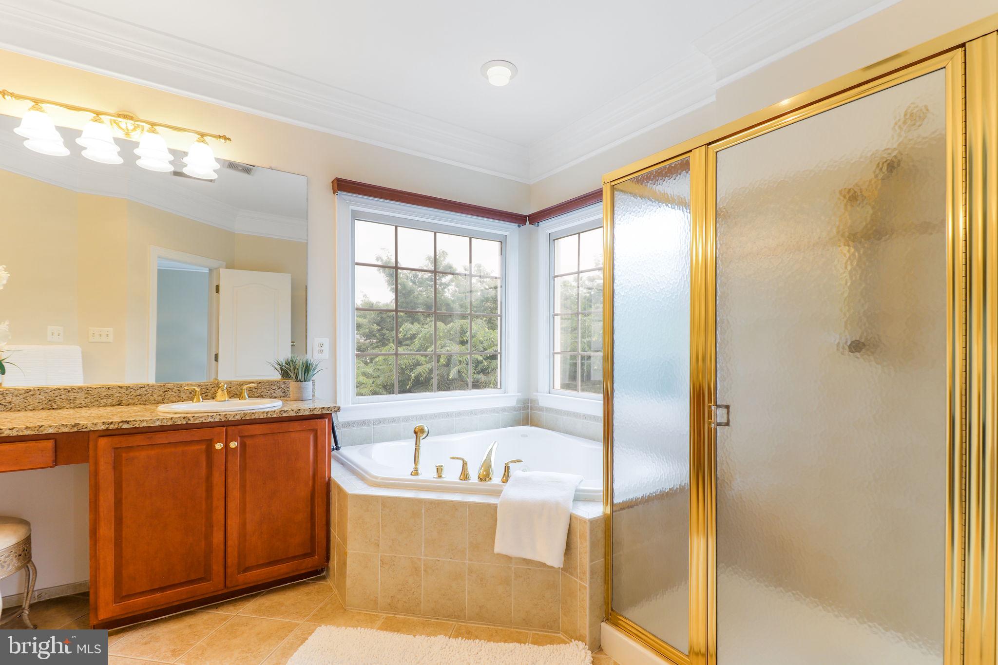 710 Crisfield Way Annapolis, MD 21401 - Photo 32 of 80 a bath room with a window and a bath tub
