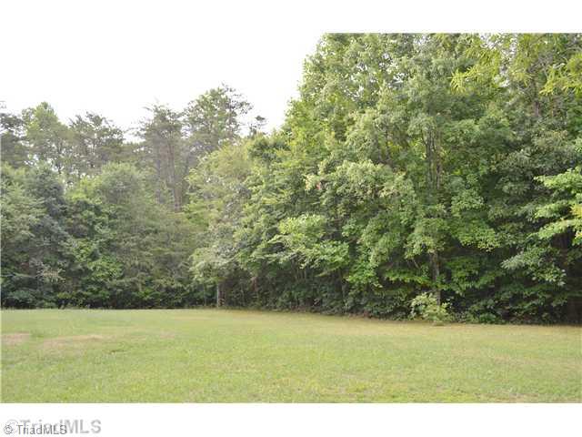 1724 K-Fork Road Madison, NC 27025 - Photo 15 of 16 Yard/Garden.