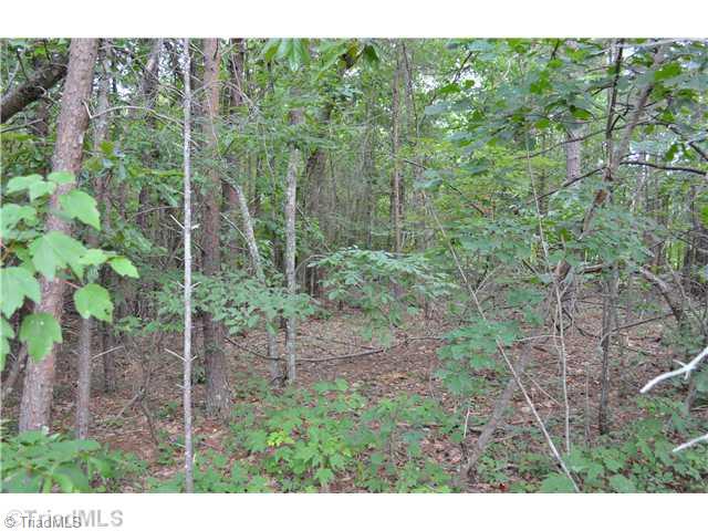 1724 K-Fork Road Madison, NC 27025 - Photo 16 of 16 Land.
