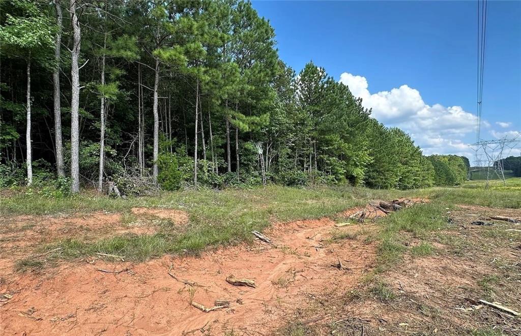 831 Holbrook Road Newnan, GA 30263 - Photo 4 of 7