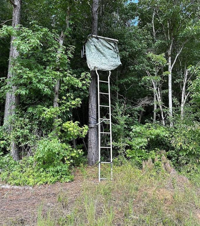 831 Holbrook Road Newnan, GA 30263 - Photo 5 of 7