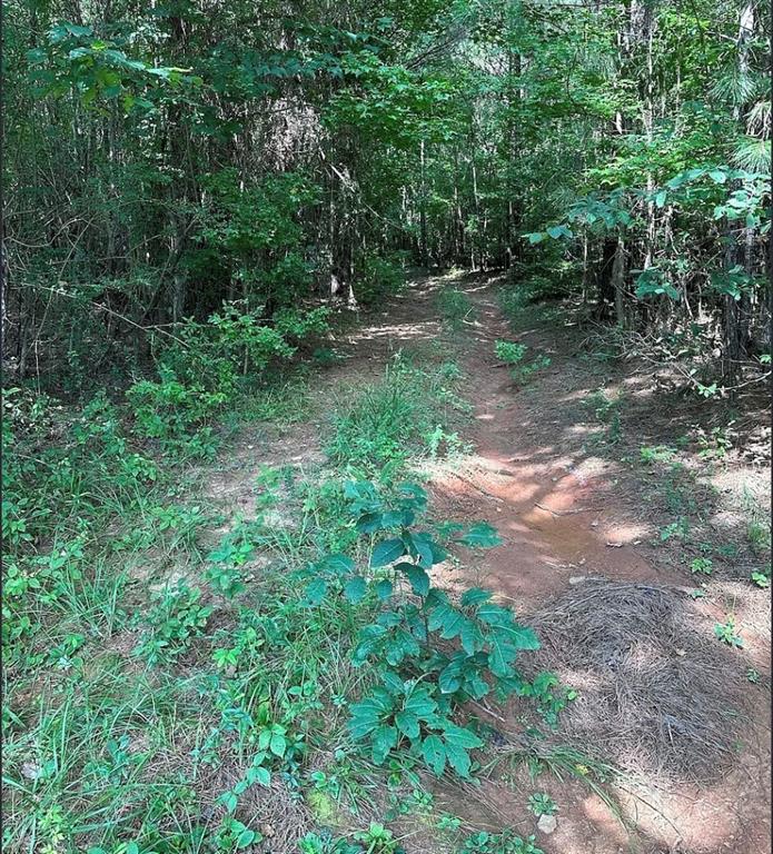 831 Holbrook Road Newnan, GA 30263 - Photo 6 of 7