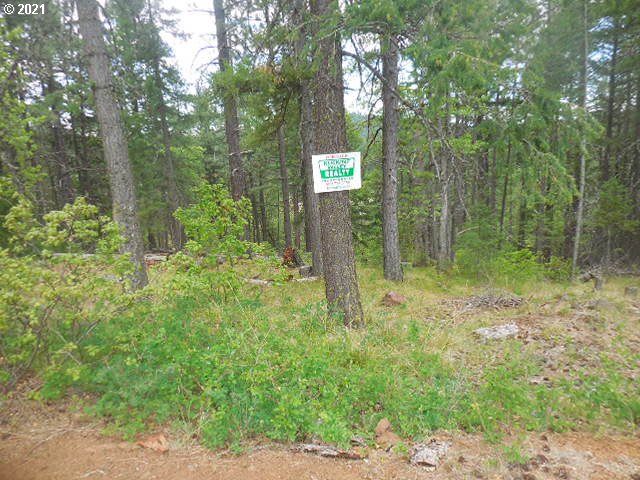 Pine Ridge, Unit 62 Goldendale, WA 98620 - Photo 1 of 20 Gallery Image 1
