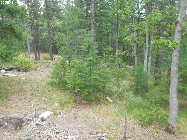 Pine Ridge, Unit 62 Goldendale, WA 98620 - Photo 13 of 20 Gallery Image 13