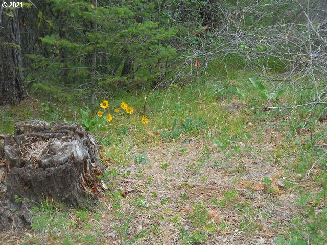 Pine Ridge, Unit 62 Goldendale, WA 98620 - Photo 15 of 20 Gallery Image 15