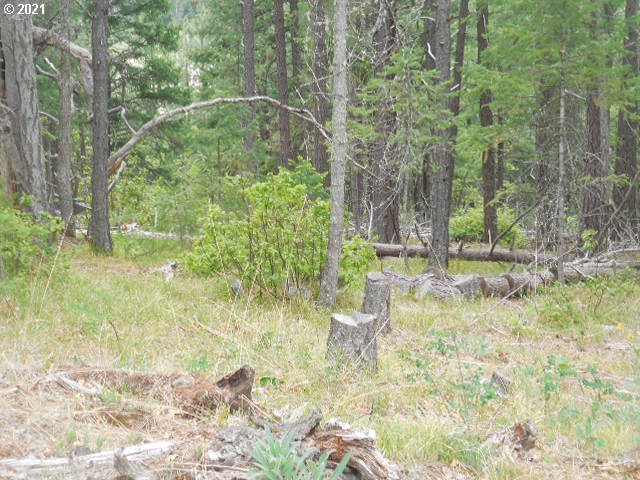 Pine Ridge, Unit 62 Goldendale, WA 98620 - Photo 16 of 20 Gallery Image 16