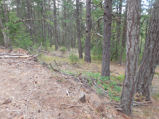 Pine Ridge, Unit 62 Goldendale, WA 98620 - Photo 7 of 20 Gallery Image 7