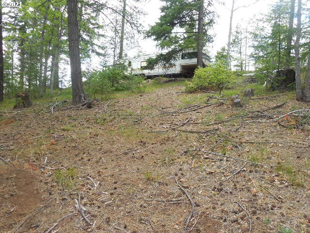Pine Ridge, Unit 62 Goldendale, WA 98620 - Photo 10 of 20 Gallery Image 10