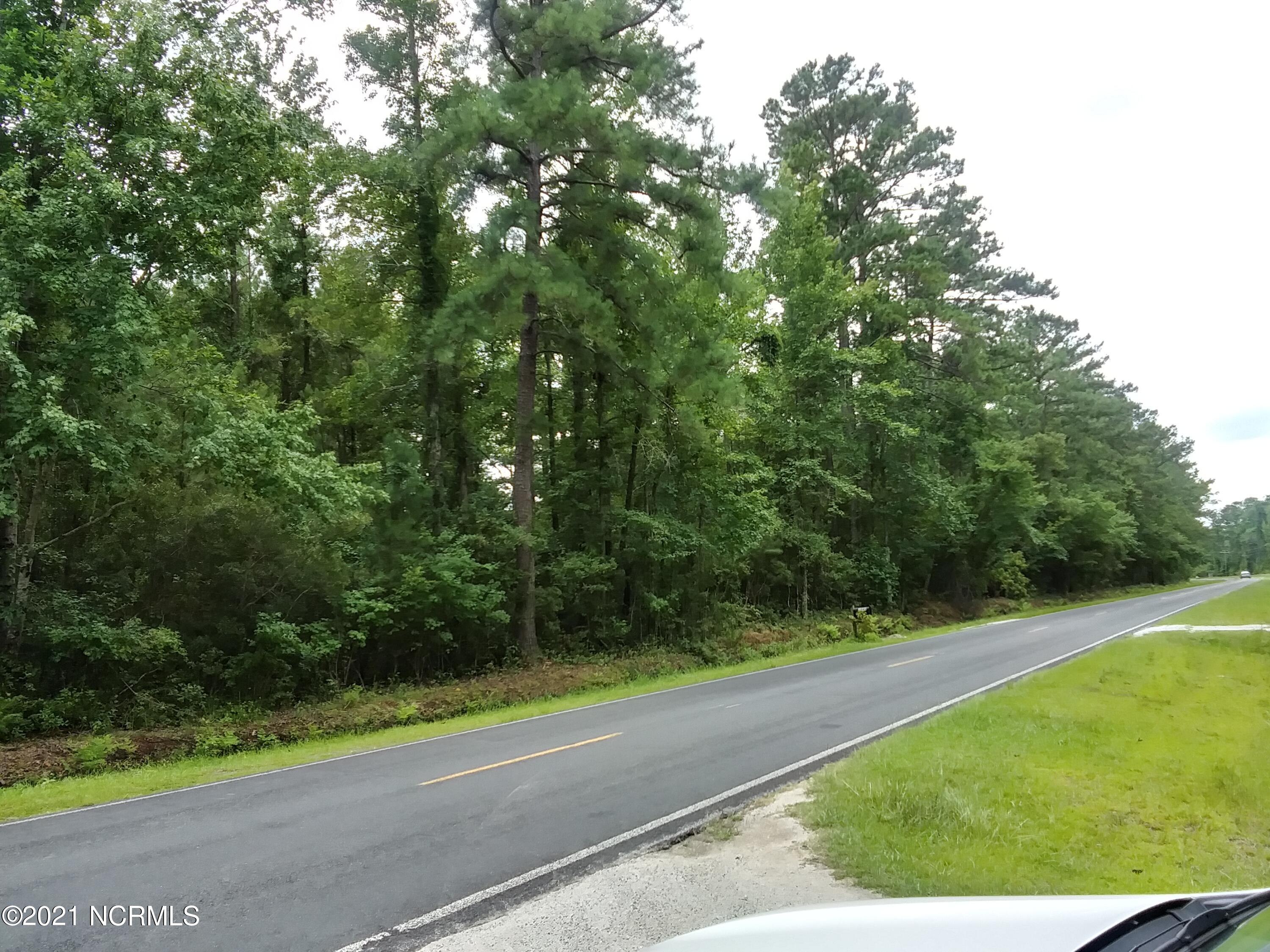 Lot 12 Florence Road Merritt, NC 28556 - Photo 3 of 4 Florence Road 3
