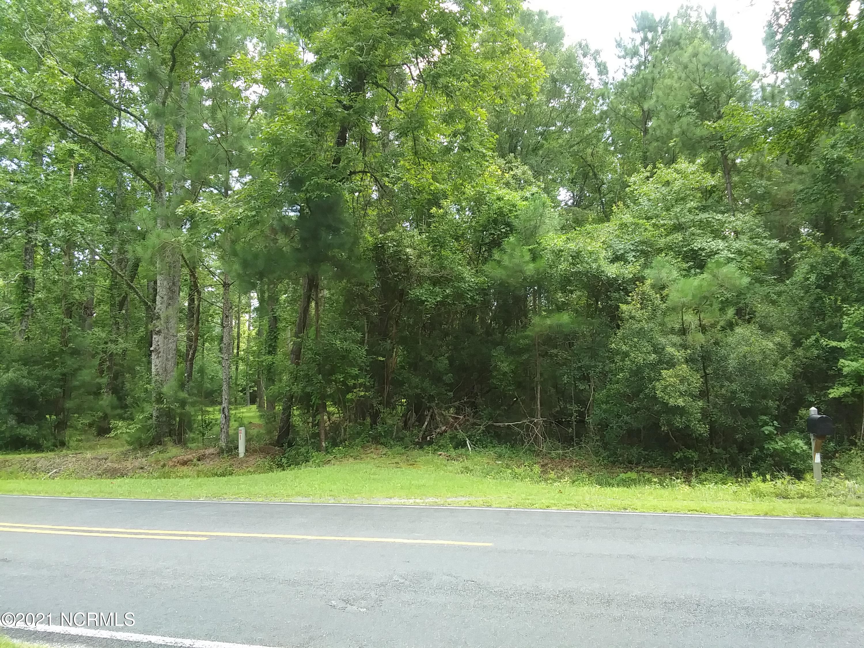 Lot 12 Florence Road Merritt, NC 28556 - Photo 4 of 4 Florence Road