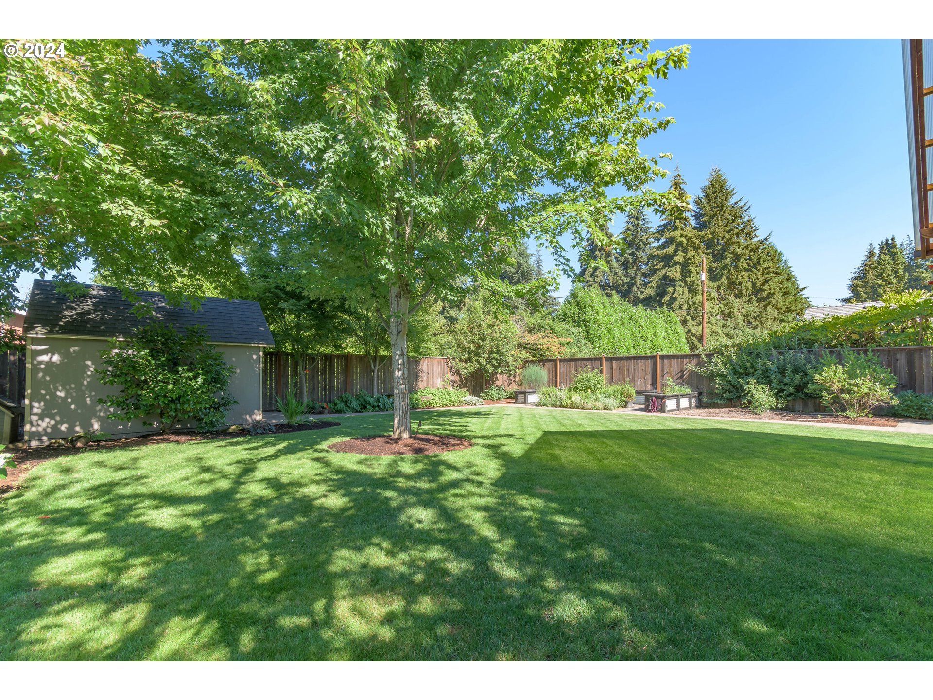 3622 Stark Street Eugene, OR 97404 - Photo 42 of 48 a backyard of a house with plants and large trees