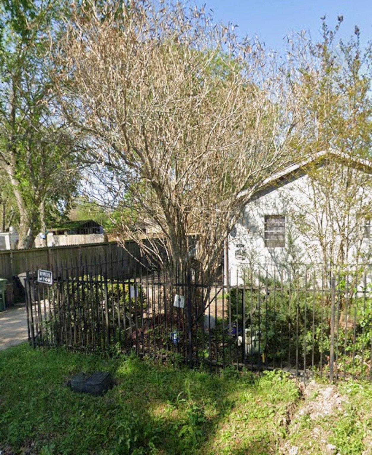 8121 Shotwell Street Houston, TX 77016 - Photo 2 of 8 a view of a yard with plants and trees