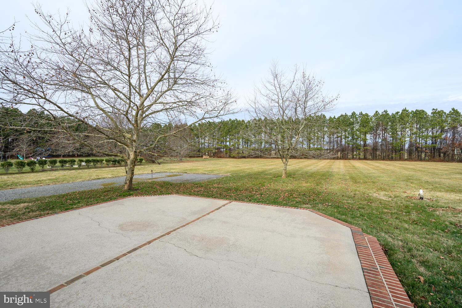 30224 Chestnut Ridge Lane Trappe, MD 21673 - Photo 5 of 46 a view of outdoor space with green field