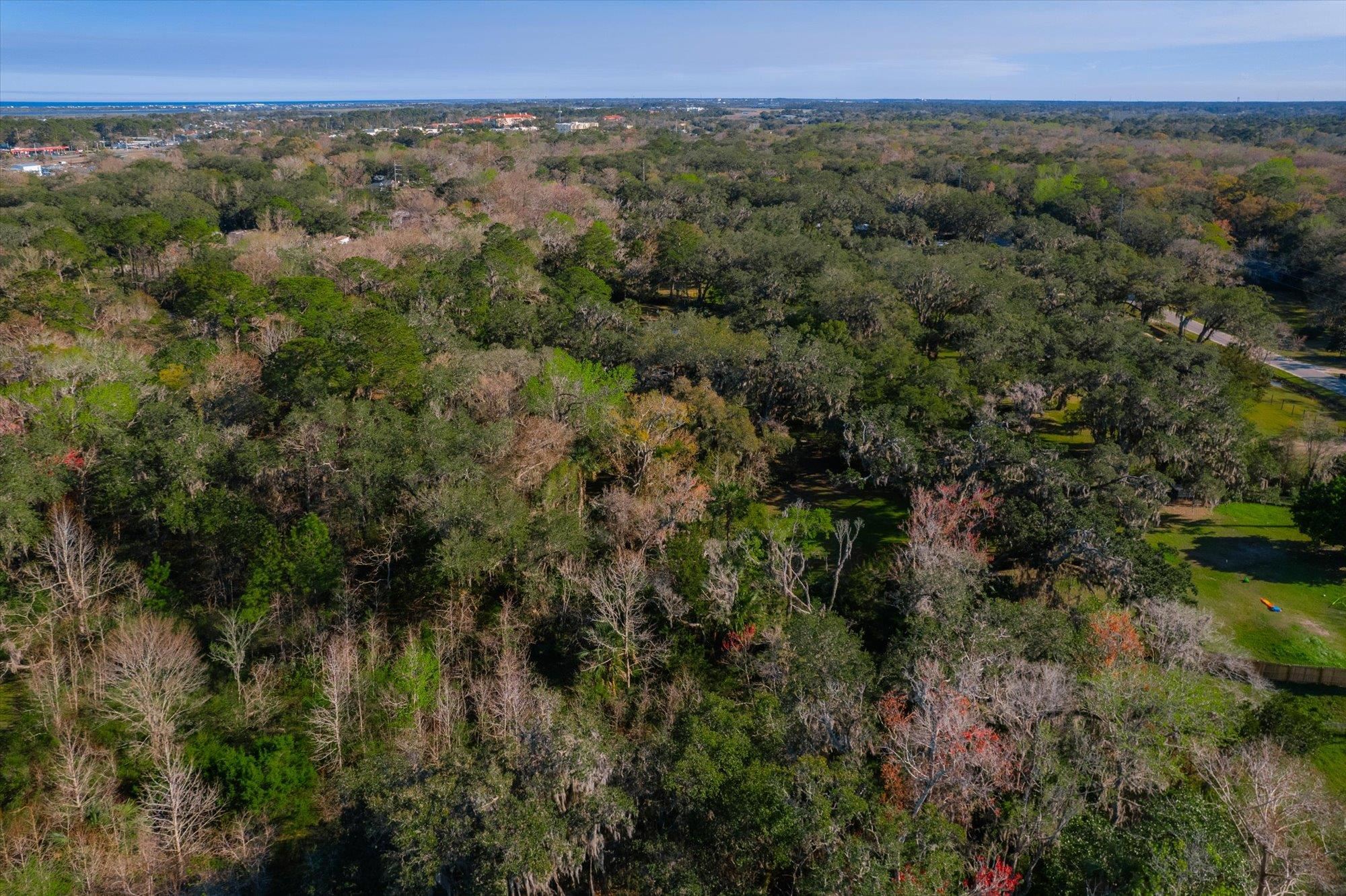 0 Porter Road St. Augustine, FL 32095 - Photo 8 of 9