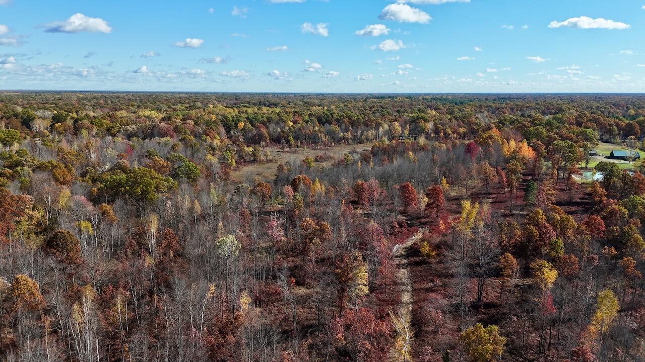 West Beamish Road Sanford, MI 48657 - Photo 7 of 27