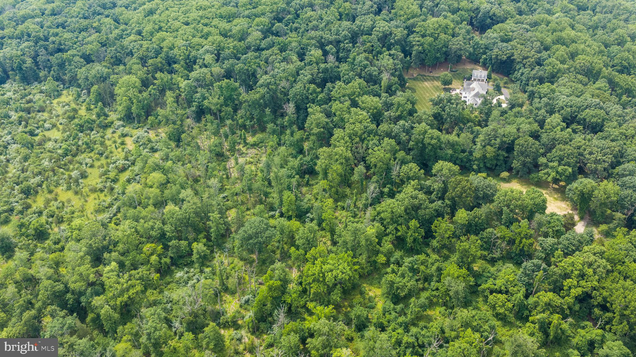 1 Warner Road New Hope, PA 18938 - Photo 13 of 13 a view of a forest that has a tree