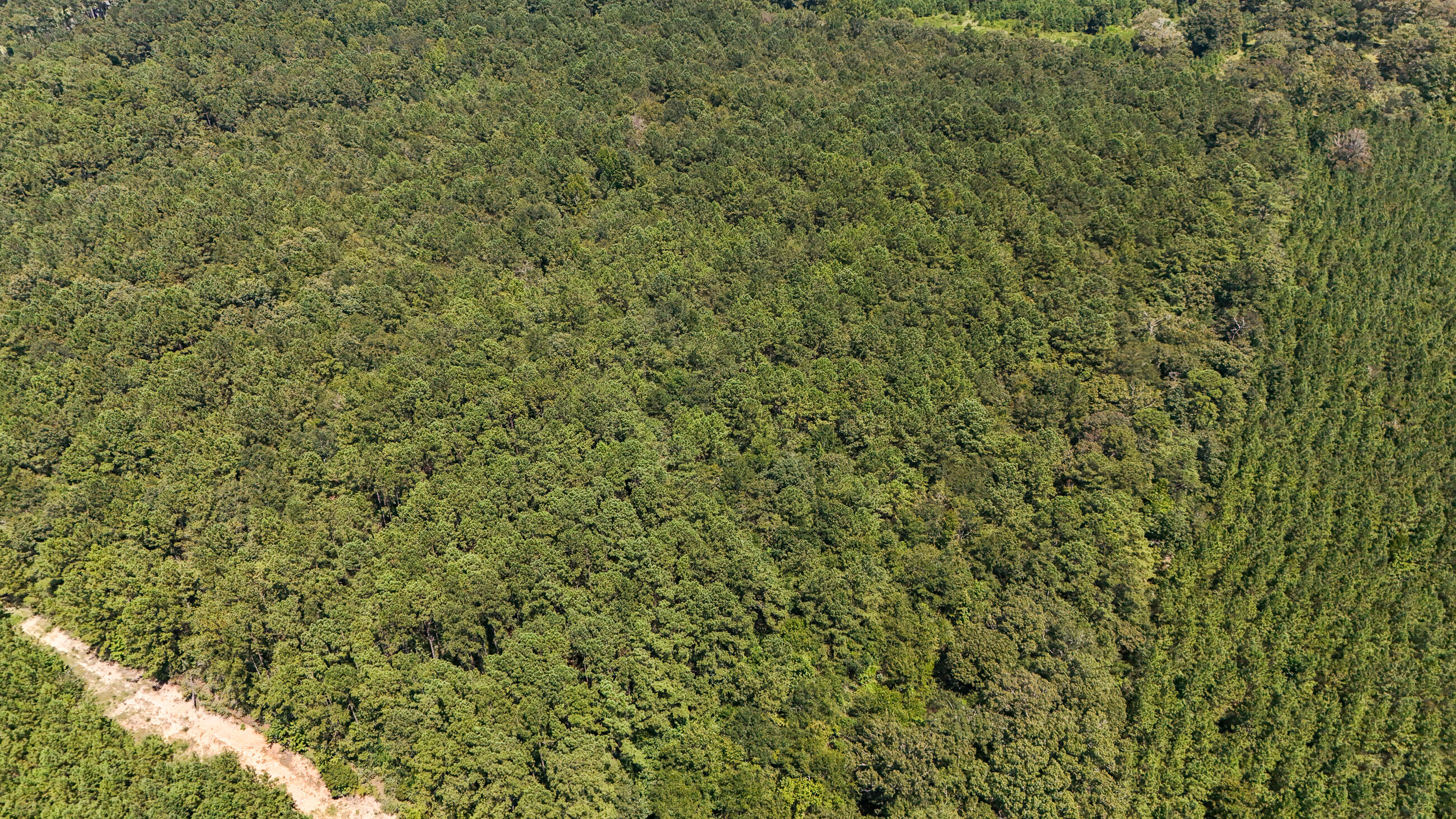 Tbd Lester Price Road Ponce de Leon, FL 32455 - Photo 13 of 21 DJI_20250828133657_0119_D