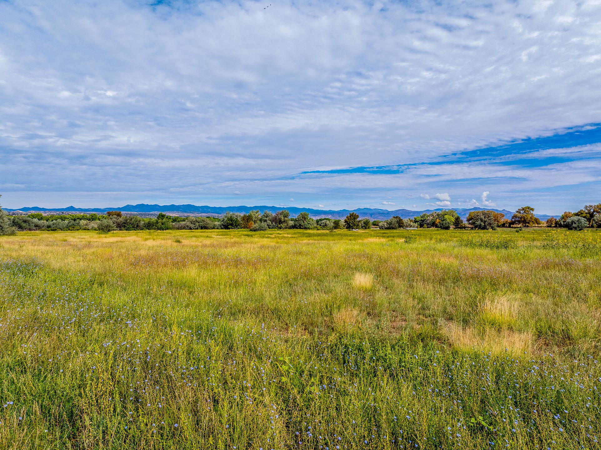 12 Sparkling Moolah Road Pena Blanca, NM 87041 - Photo 11 of 24