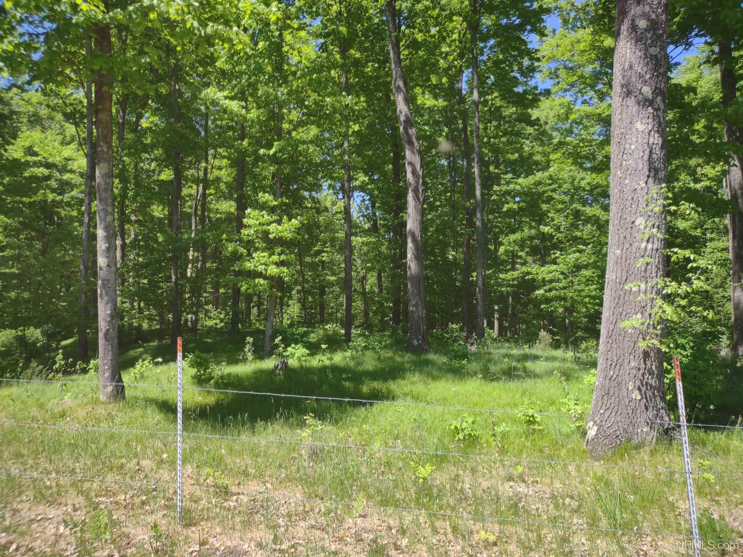 Lot 7 Mud Lake Road Florence, WI 54121 - Photo 3 of 4
