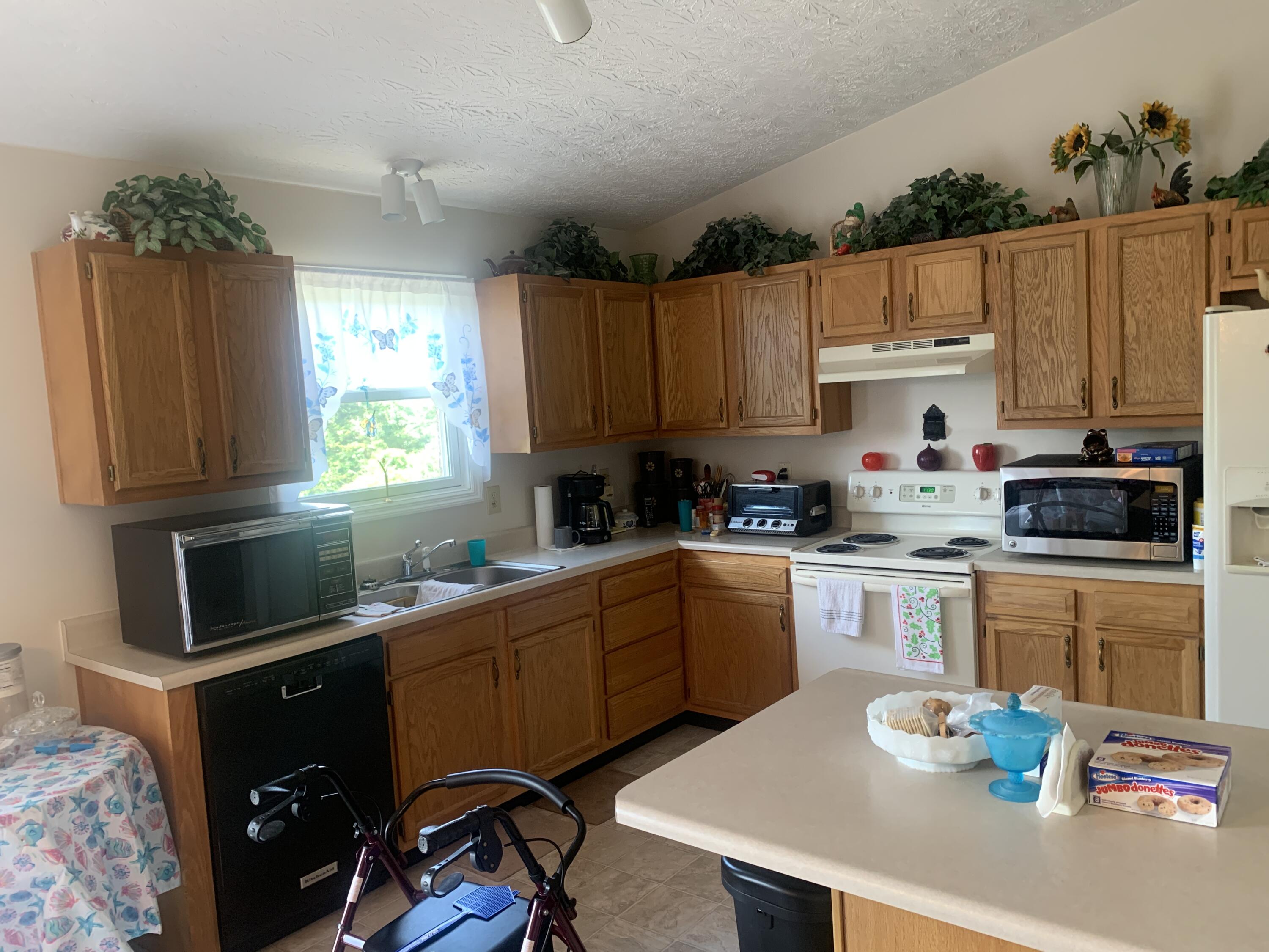 934 Kennedy Ridge Road Falmouth, KY 41040 - Photo 3 of 28 Gallery Image 3