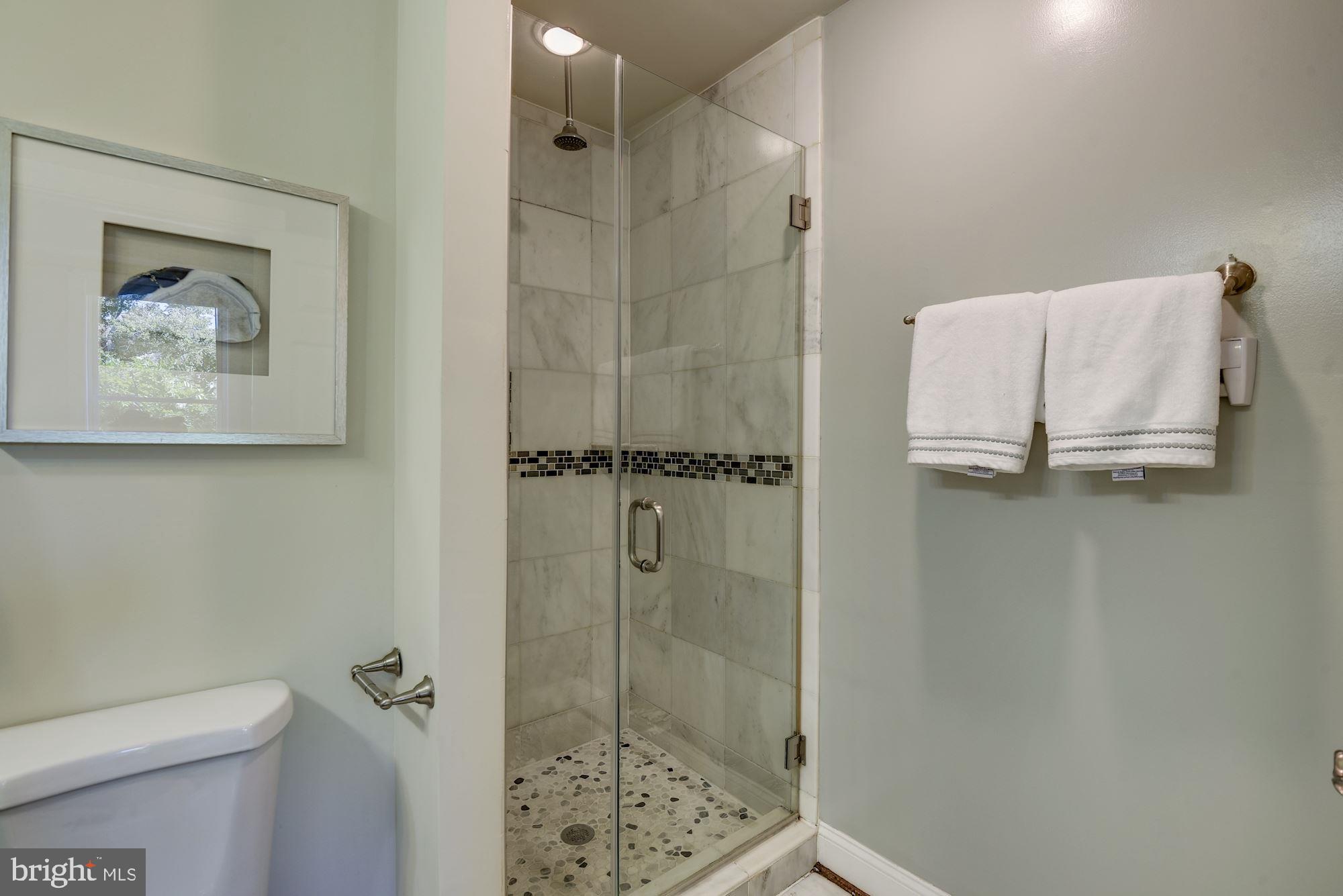 803 9th Street Northeast Washington, DC 20002 - Photo 23 of 52 En Suite Master Bath