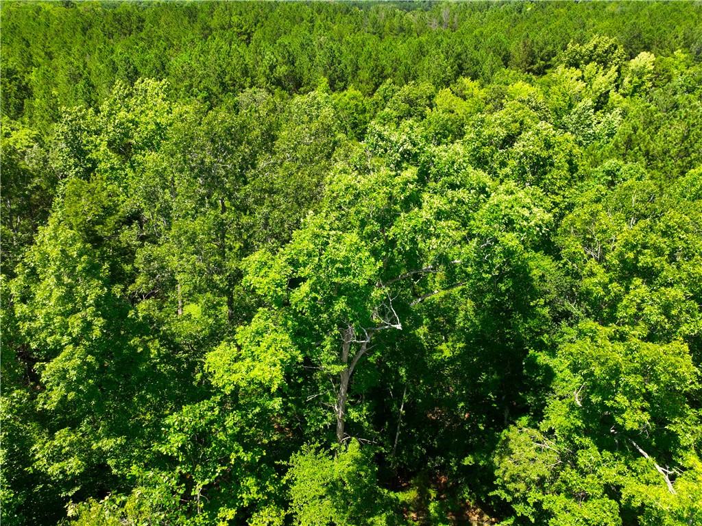 401 Coleman Road Clinton, SC 29325 - Photo 5 of 25