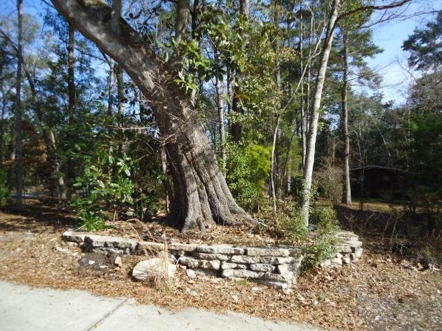 950 Collins Rd I Havana, FL 32333 - Photo 12 of 19 Gallery Image 12