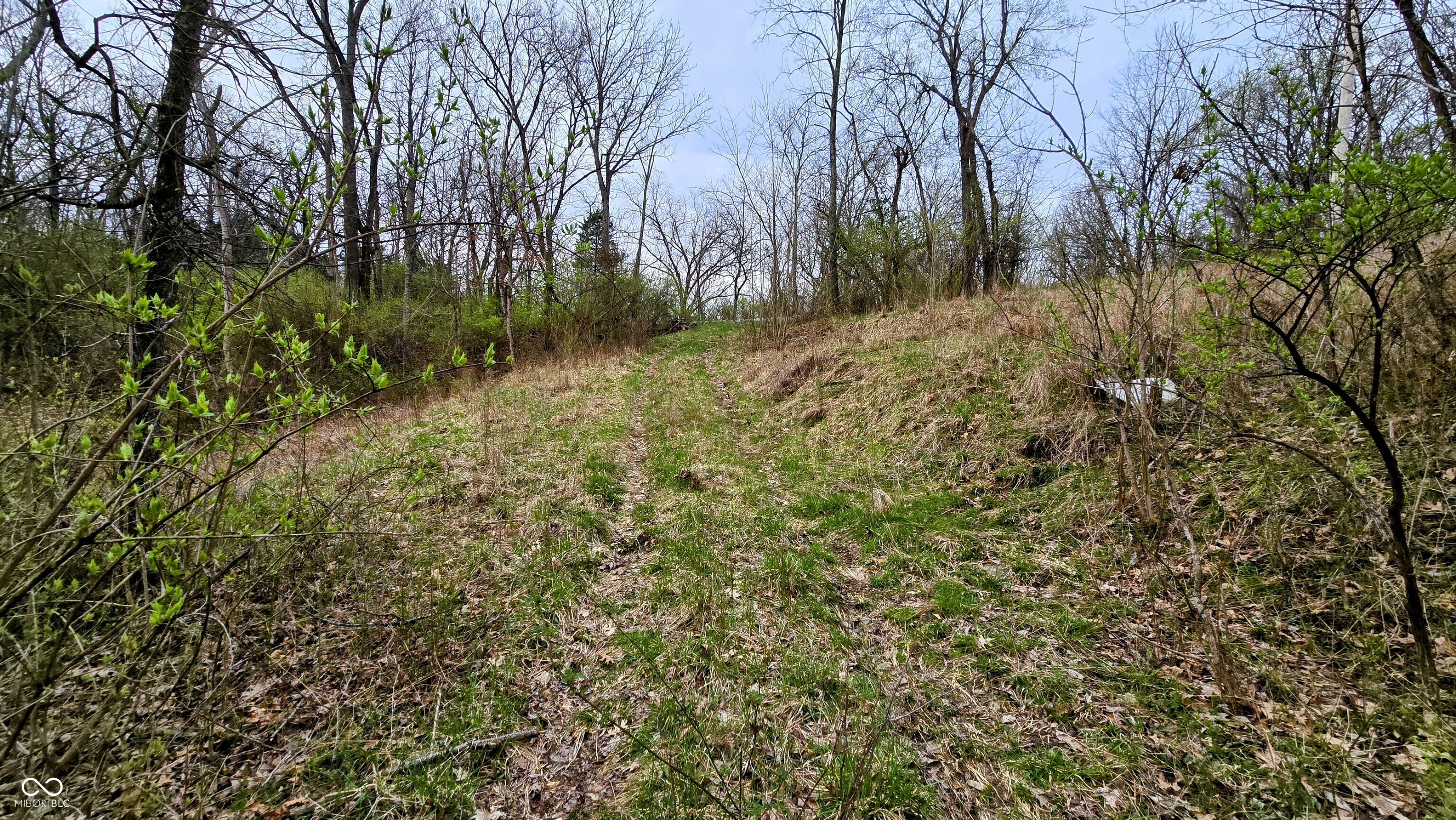 0 Bursot Branch Road Vevay, IN 47043 - Photo 11 of 45