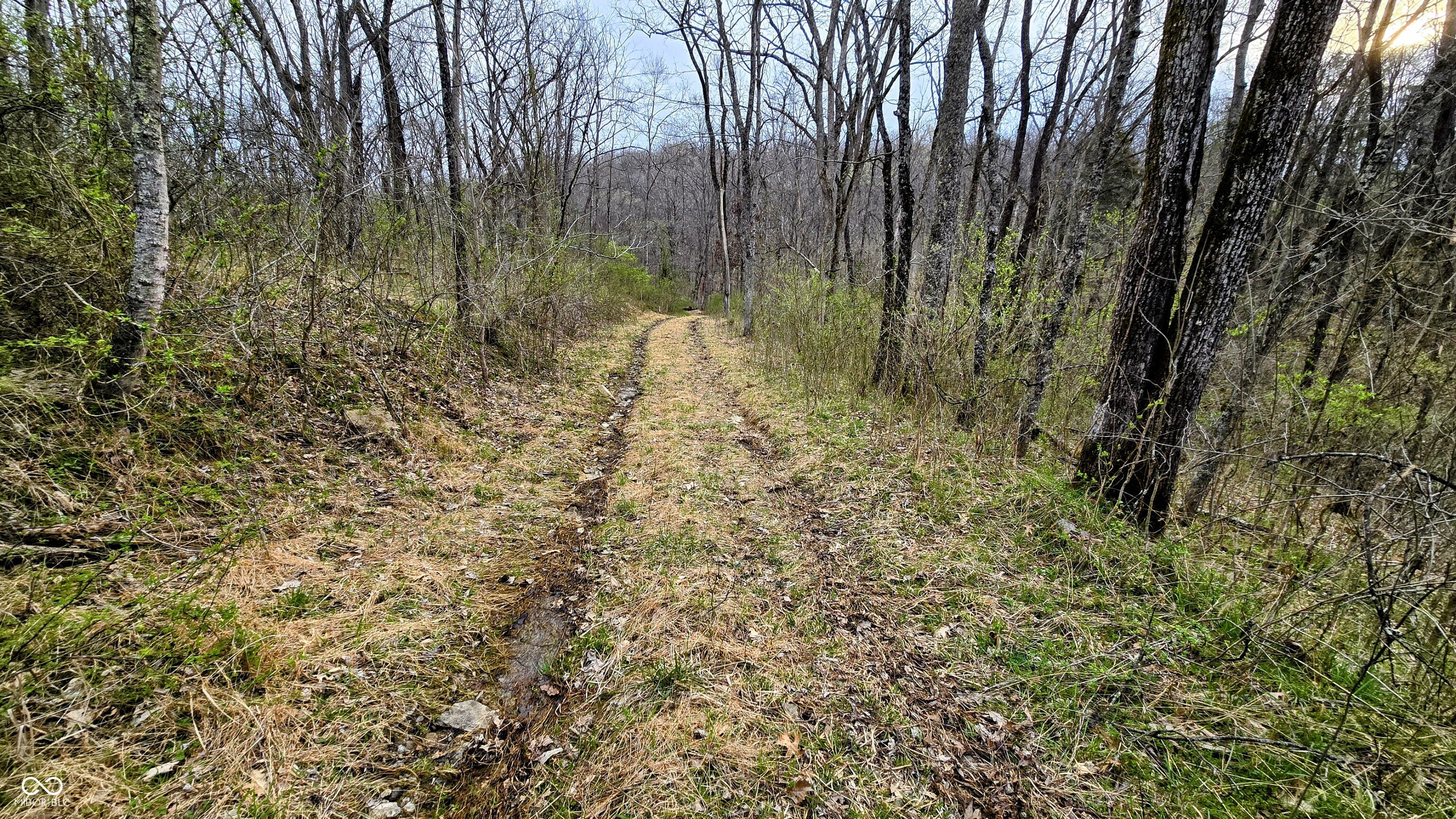 0 Bursot Branch Road Vevay, IN 47043 - Photo 12 of 45