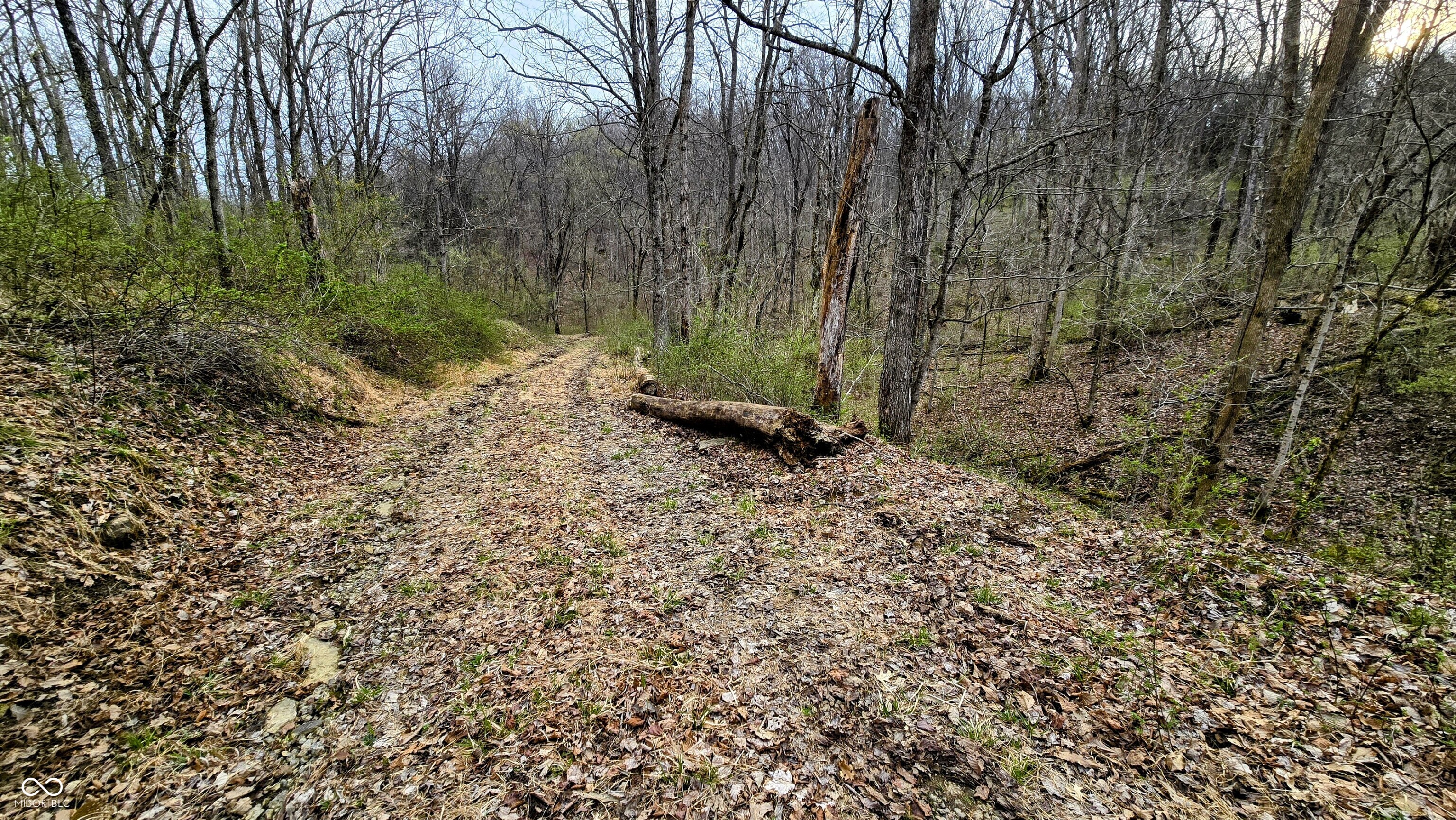 0 Bursot Branch Road Vevay, IN 47043 - Photo 13 of 45